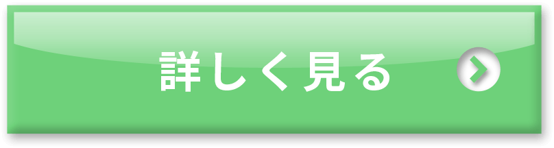 詳しく見る